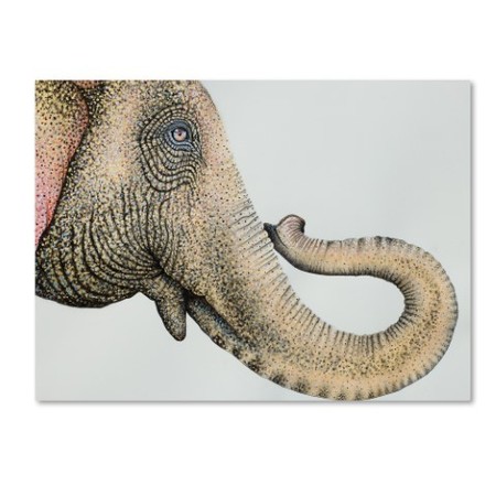 Michelle Faber 'Spotted Asian Elephant 2' Canvas Art,24x32